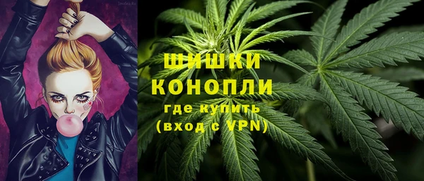 шишки Рославль