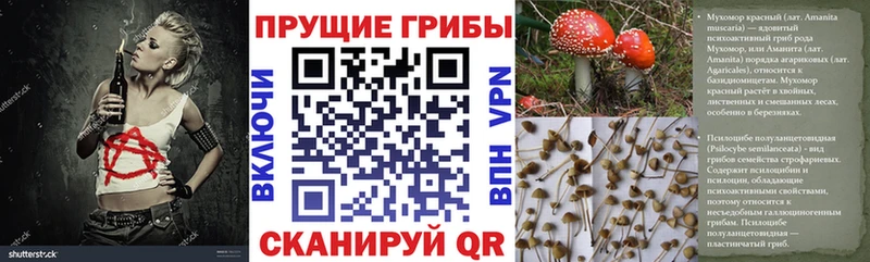 Галлюциногенные грибы мицелий магазин продажи Узловая