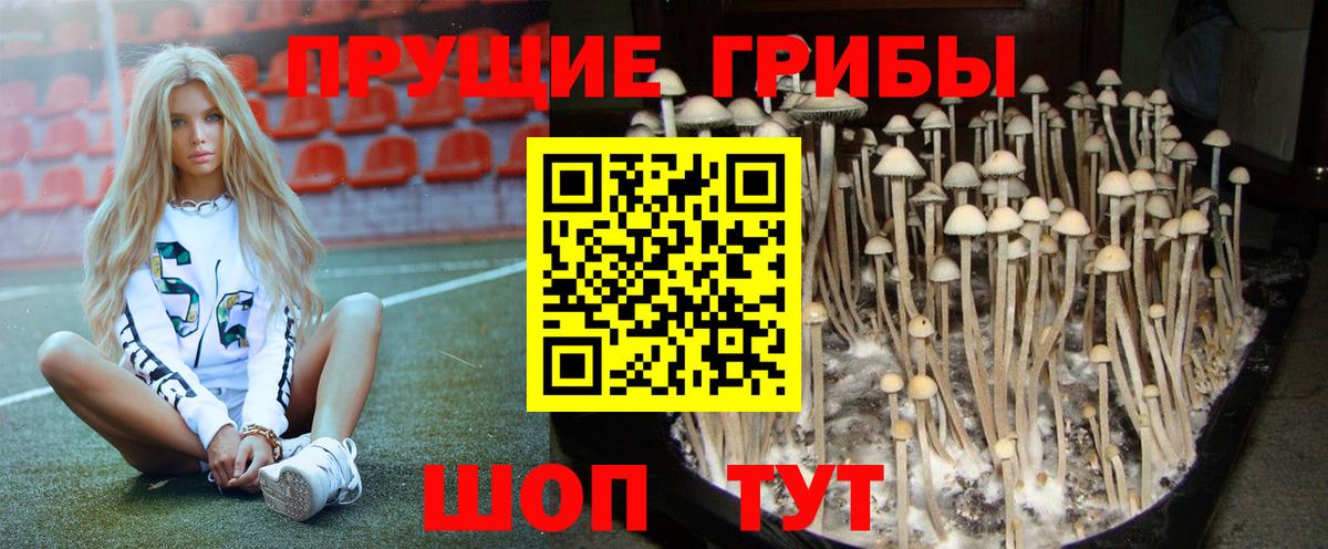 Псилоцибиновые грибы ЛСД Узловая