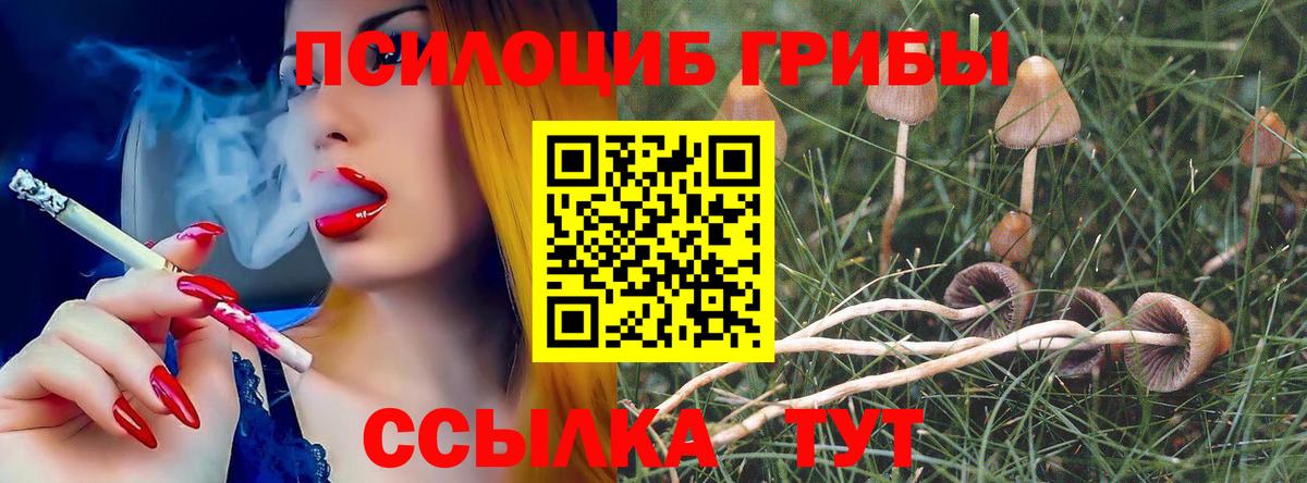 Псилоцибиновые грибы Cubensis  Вход с VPN  дарнет шоп  Узловая 